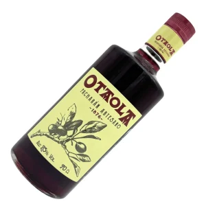 Pacharán Otaola Artesanal