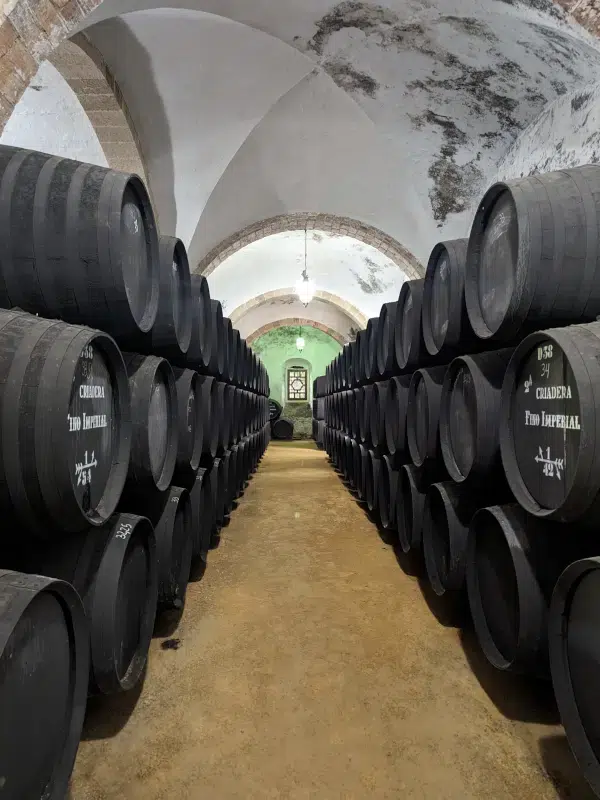 Pasillo Bodega Diez Merito