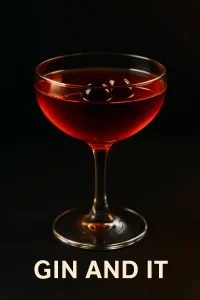 cocktail gin and it
